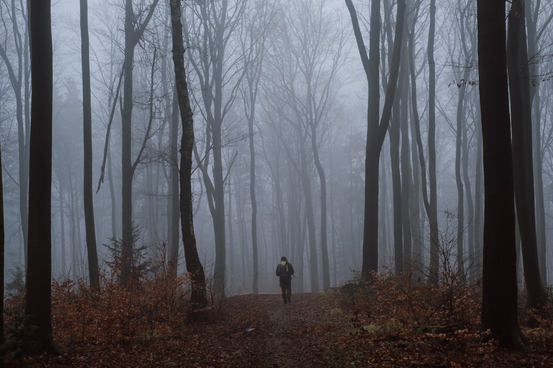 podcast prowincjonalny zaprasza Łukasz Dziedzic odcinek 3